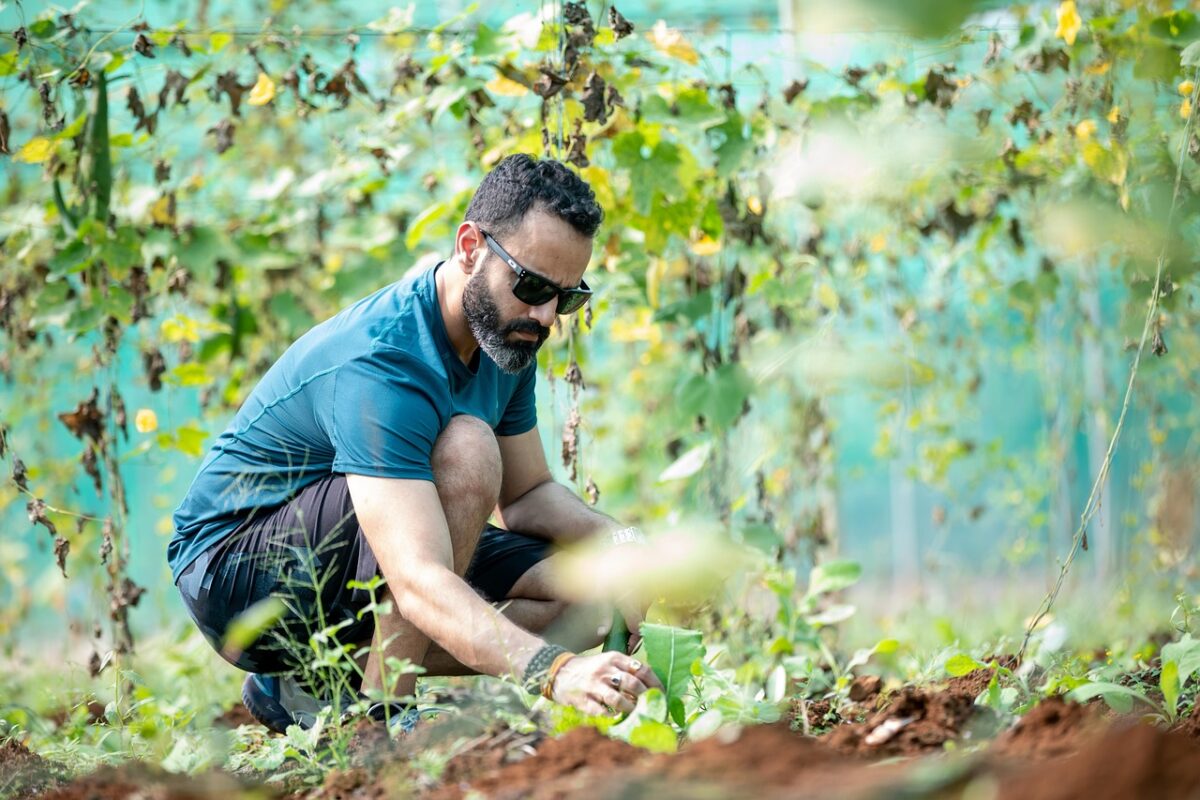 Boraks – między tradycją a kontrowersją